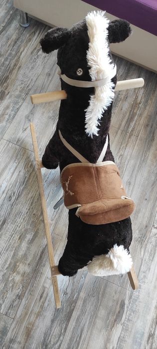 Музикално детско конче