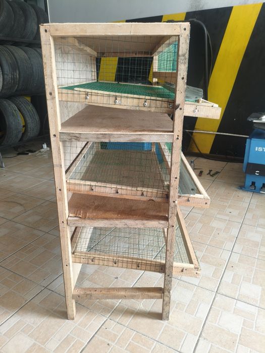 Bedana katak yangi ishlatilmagan