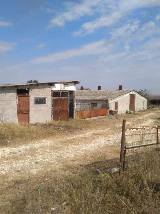 Vând FERMA cu teren 4 hectare Plopeni Constanta