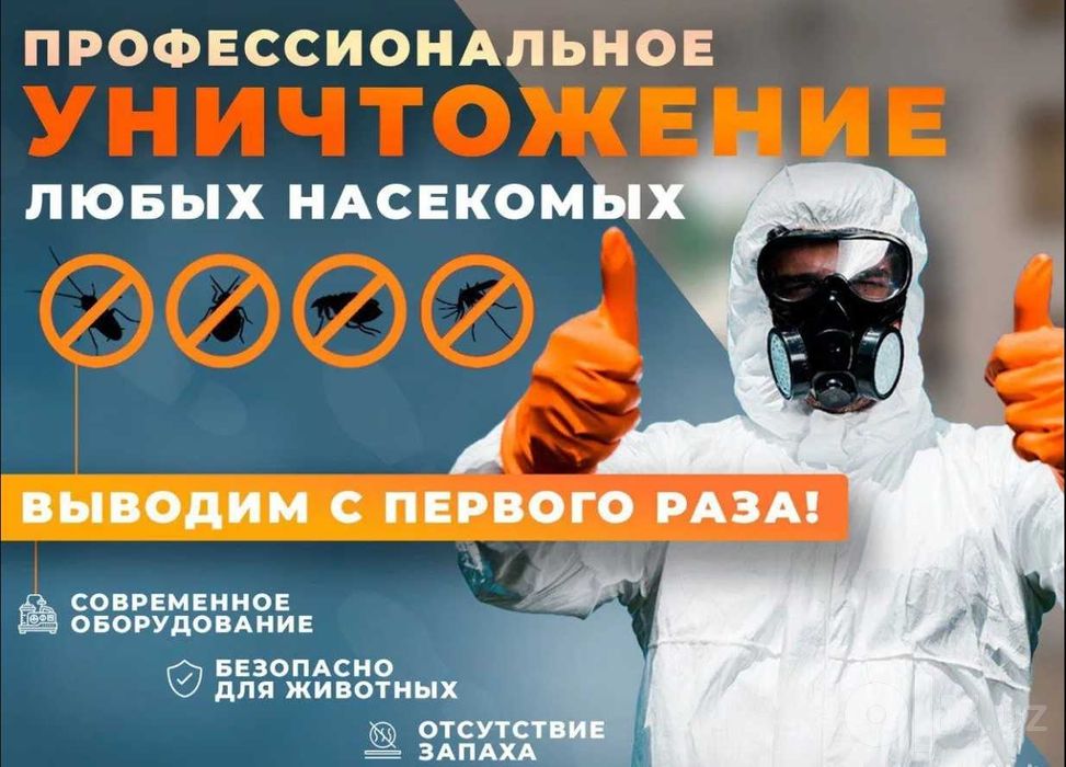 Дезинфекция/Дезинсекция от тараканов и клопов Ташкент | Dezinfeksiya