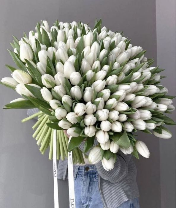 Тюльпаны красивые, высокие