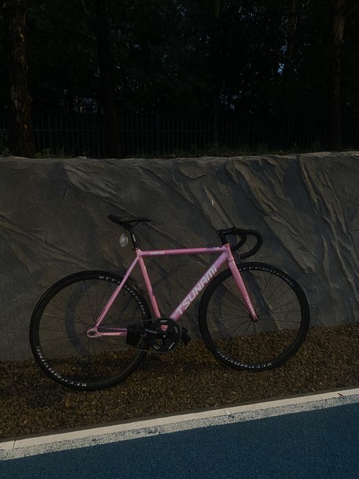 tsunami snm 100
