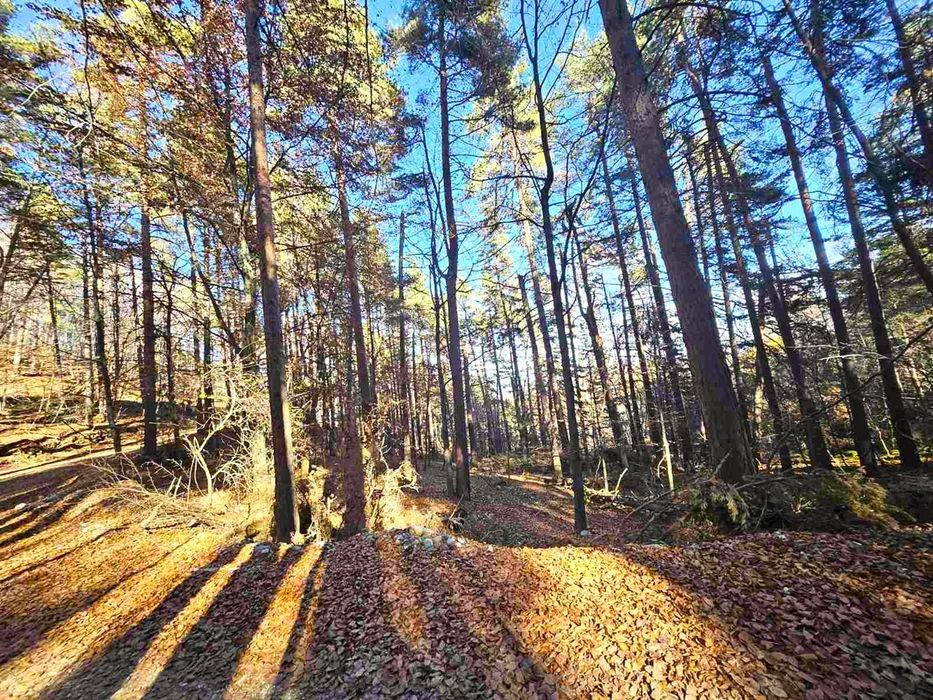 Земеделска земя 1 757 кв.м до последните къщи на Бойково – местност Ф