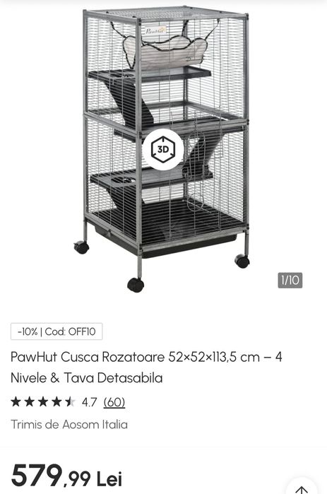 Veverițe Degu tinere