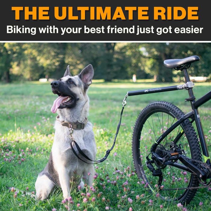 Lesa Bicicleta Profesionala EasyRide MALABI Fibra Carbon Amortizor Socuri Rotire 180 Grade Prindere Rapida Snap Siguranta Maxima Caine Talie Mare Noua