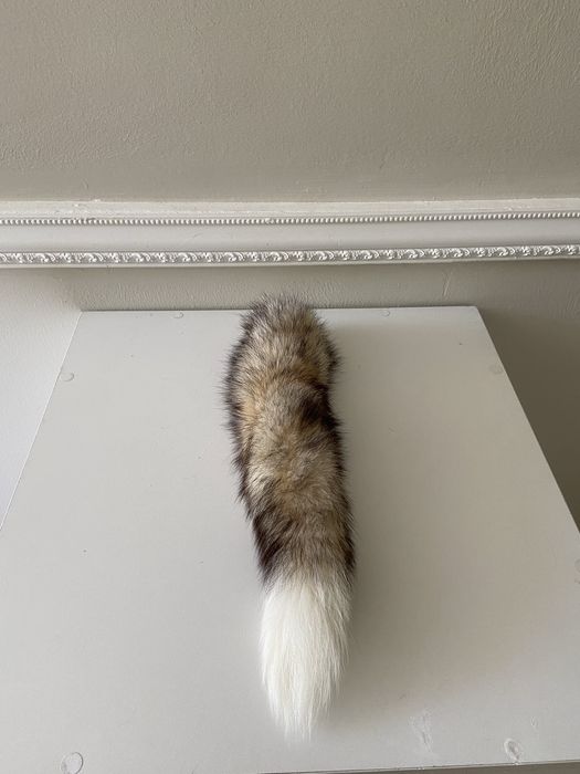 Хвост г.Актау