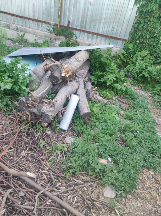 Продам орех,частично спиленый