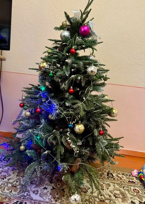 Ёлка. Шырша. Шымкент. Сайрам