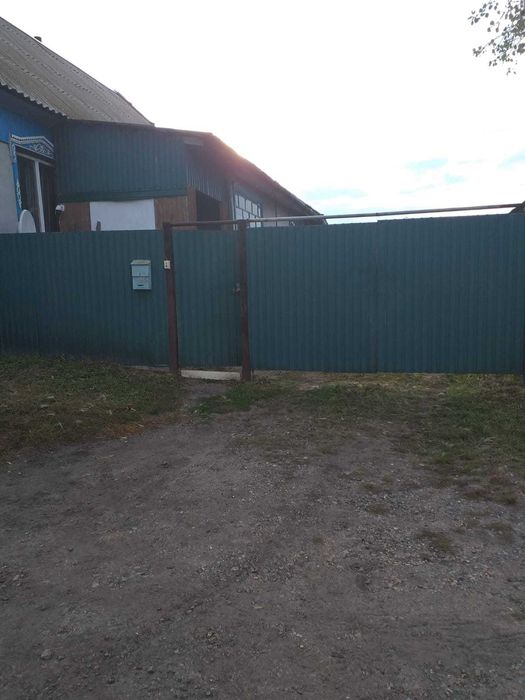 Дом в горде Мамлютка