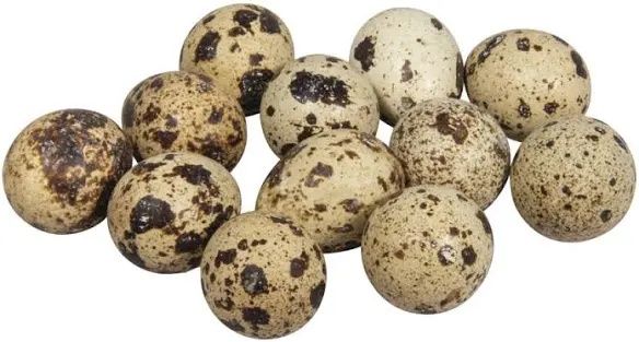 Ouă prepelita de curte