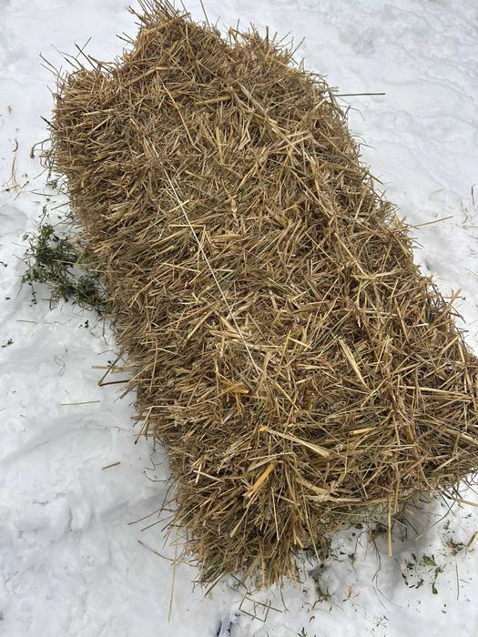 Vand baloti de paie si lucerna