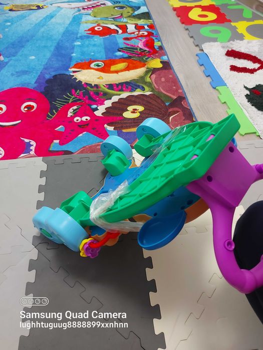 Antepremergator Fisher Price, 6m-30m