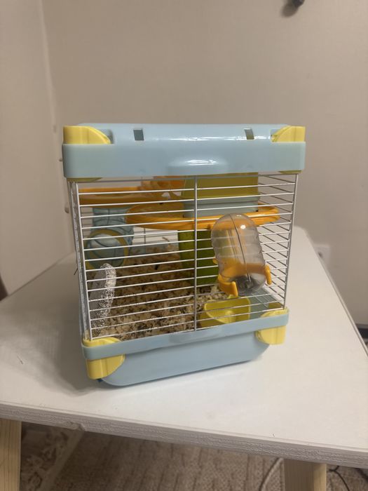 Продам Хомяка с клеткой и кормом