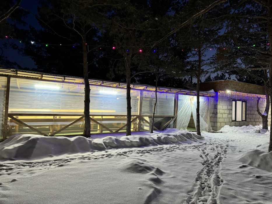 Дом, мангал, беседка в лесу