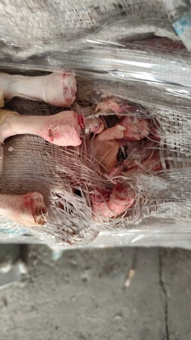 продам куриные лапки