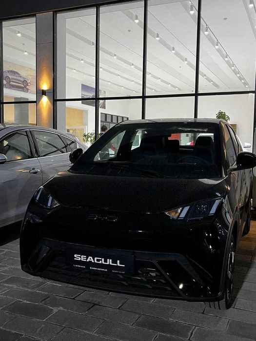 BYD Seagull AVTO KREDİT, Lizing