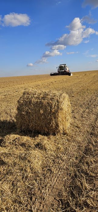 Продам солому ячменьку рулон шоп