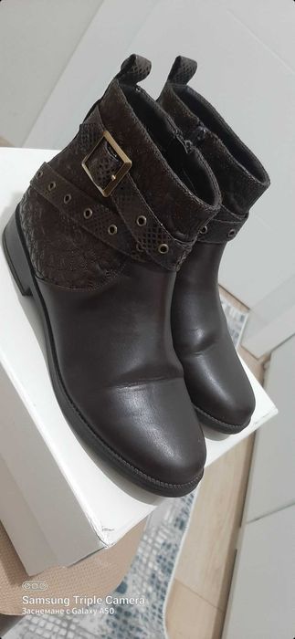 Боти desiquared 37