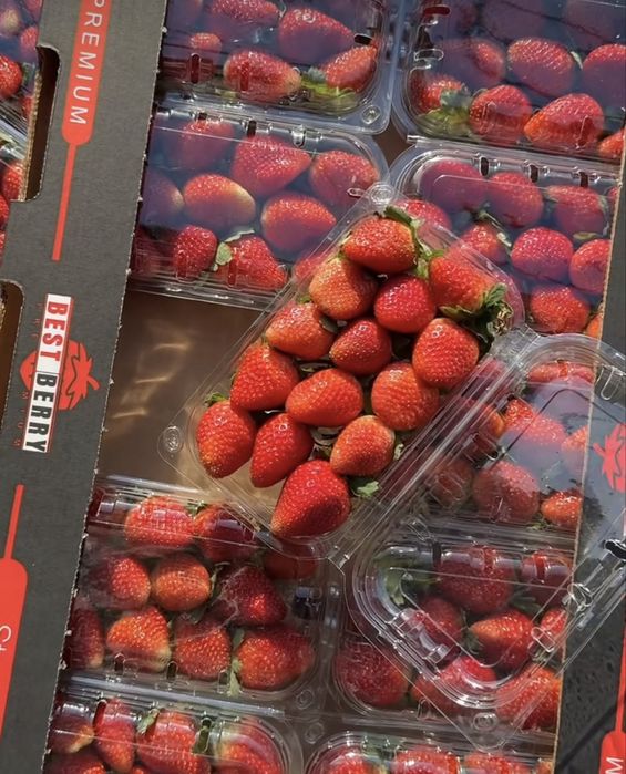 Клубника свежая  оптом и в розницу