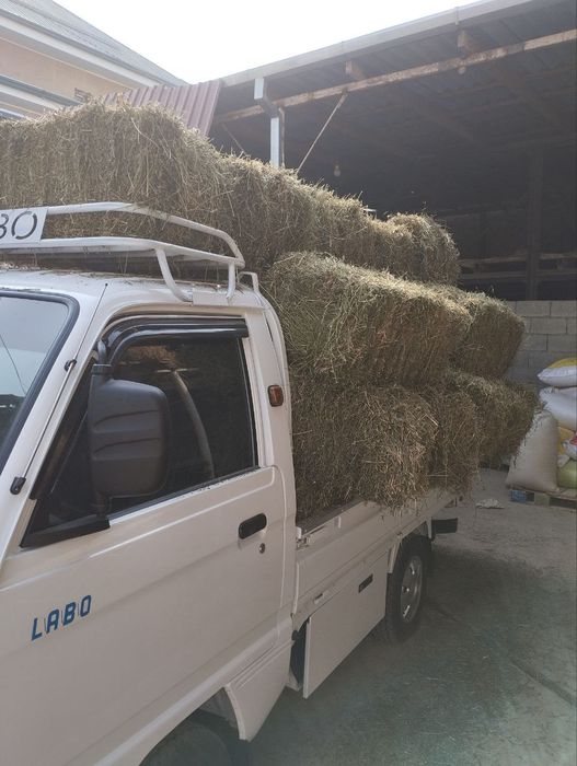 Беда Сотилади Фаргона