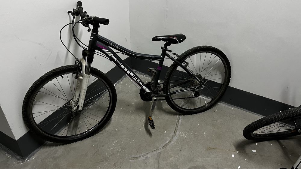 Centurion  eve.        ..