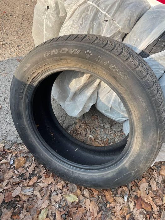 Шины triangle 19