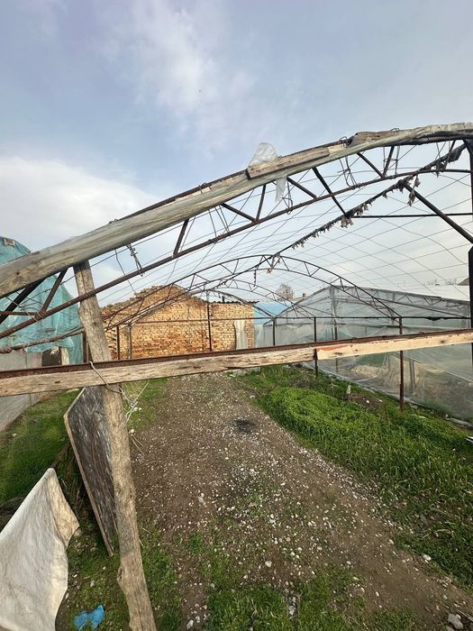 Tiplisa sotiladi 3ta