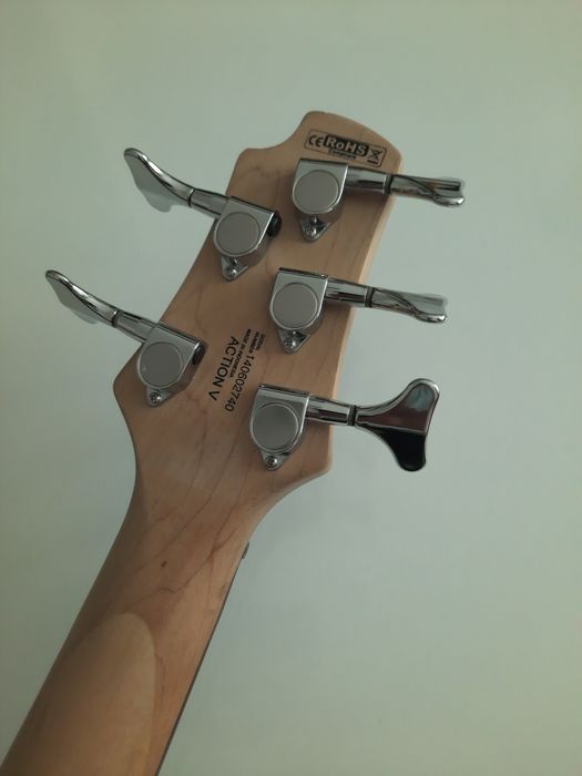 Chitara bass, 5 corzi, fretless
