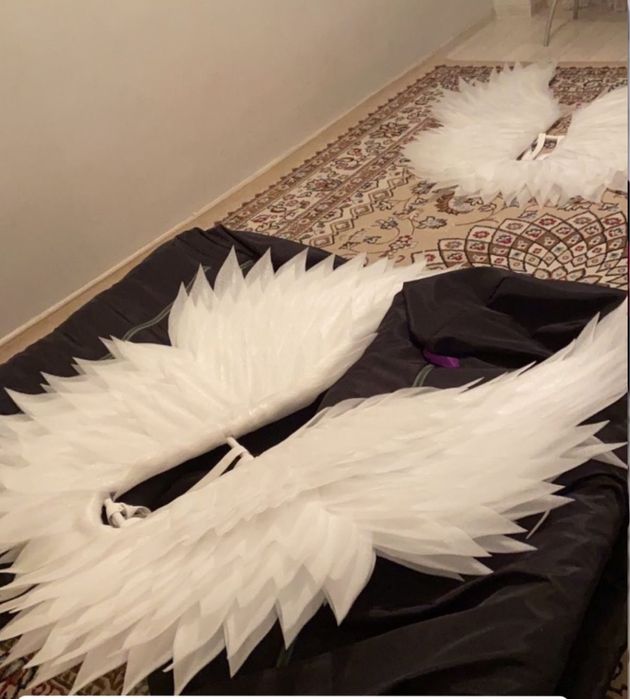 Продаются Крылья в отличном состоянии