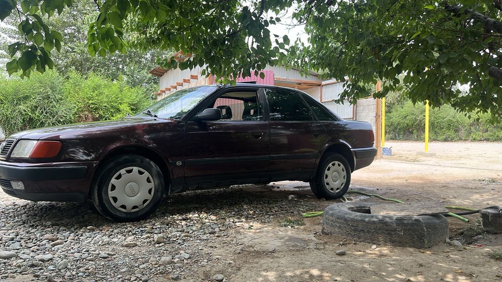 Один хозяин в Казахстане