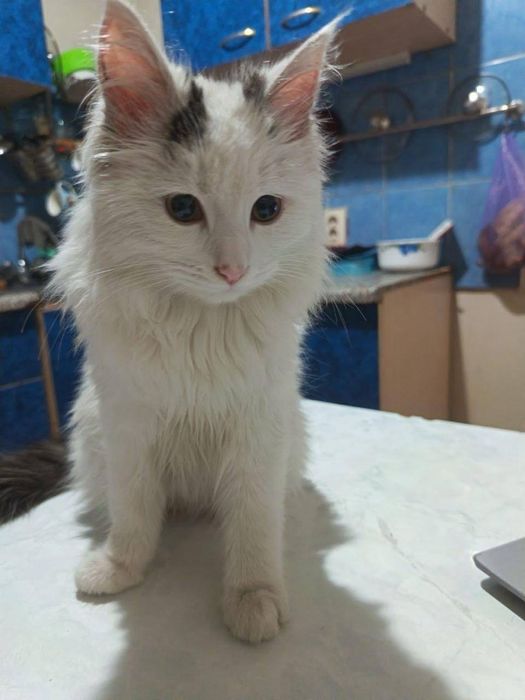 Мальчишка ищет семью!