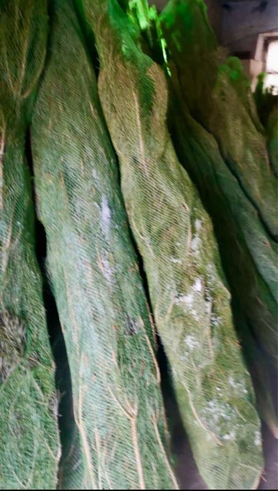 Новогодняя ёлка 2,5 м