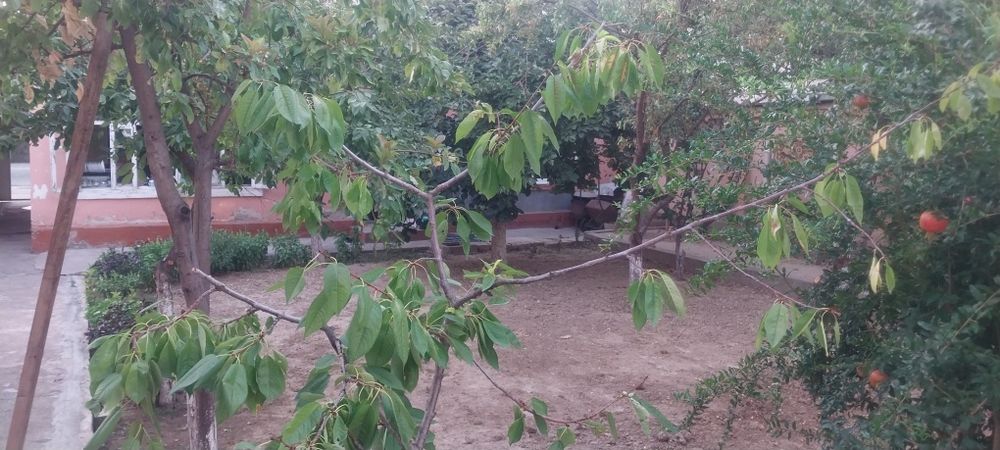 Дом продаётся,счёт земли