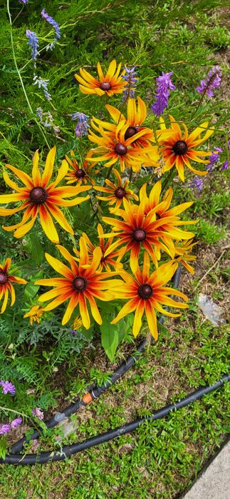 Продаётся дача. Срочно, торг.