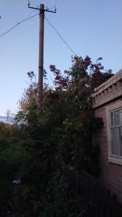 Продам дачу в с/о Черемушки