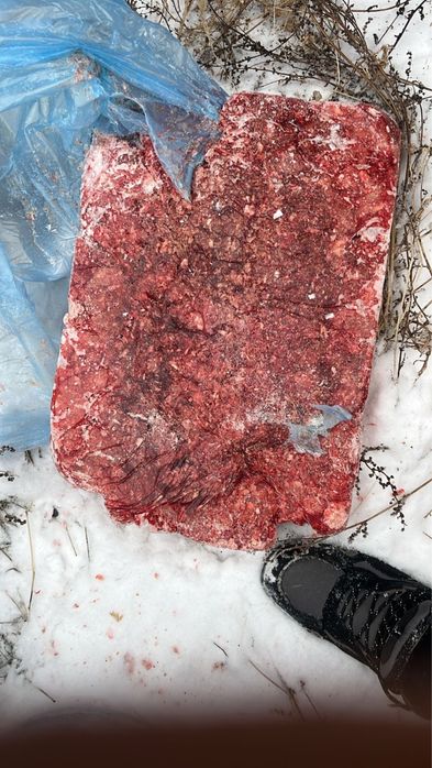 Фарш собакам срочно 15 кг