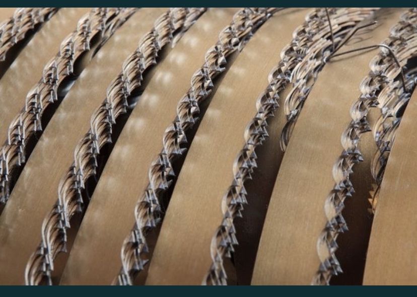 Ленточные пилы для ленточных пилорам