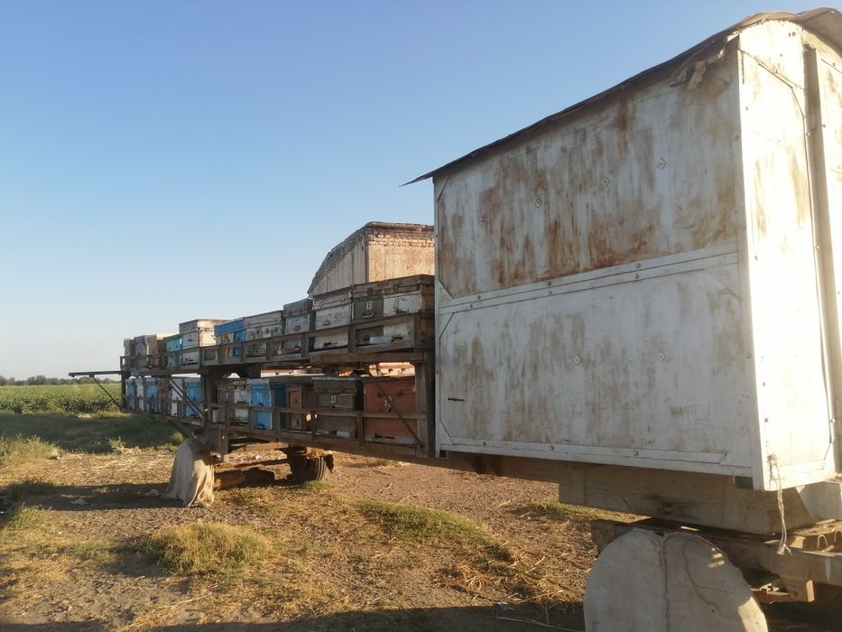 Асалари прицепи, бакувват тележка