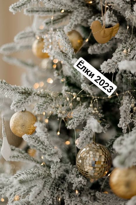 Ёлка премиум класса привозная