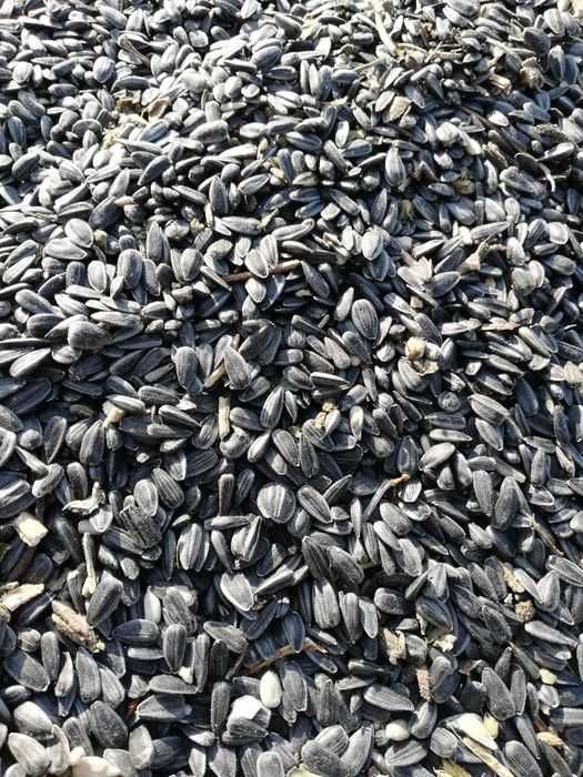 vand floarea soarelui, srot soia, mazare