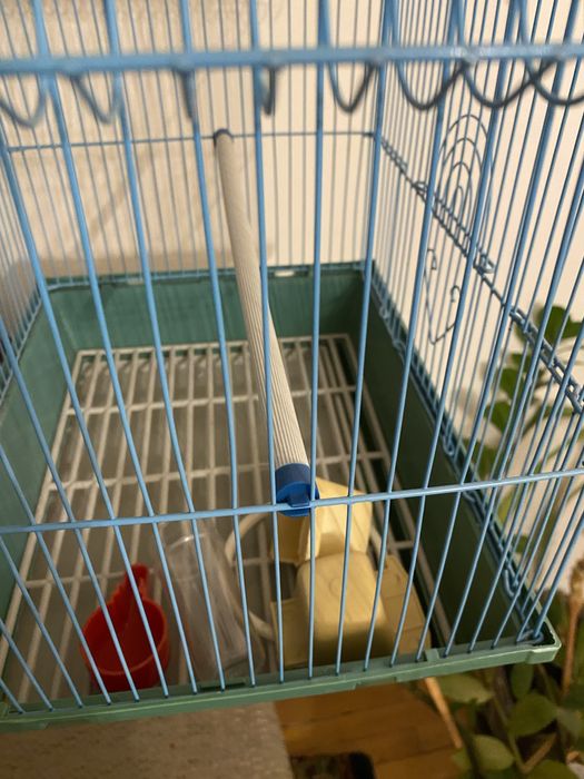 Клетка для птиц