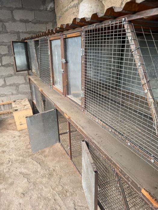 Продам кролятник