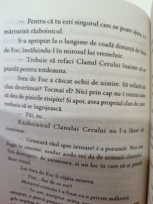 NOU Carte Pisicile războinice - Misiunea lui Stea de Foc, Erin Hunter