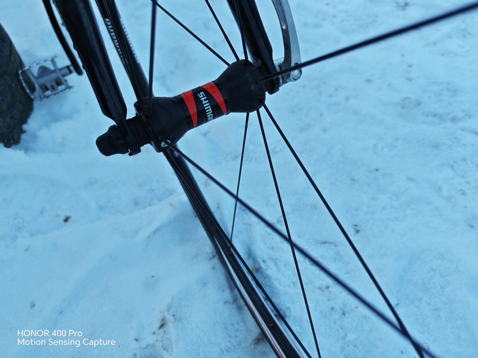 Vând cursiera focus