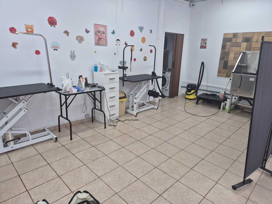 Salon Frizerie Canina si Felina de vanzare!