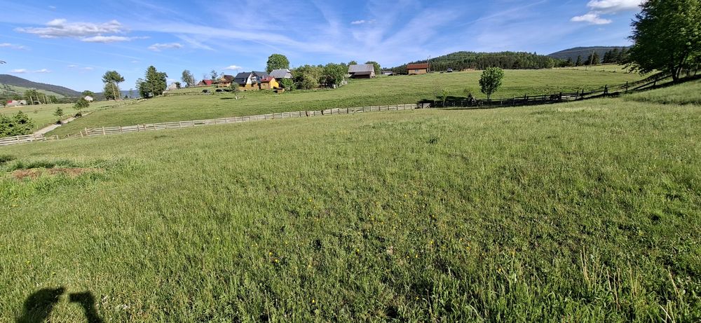 Teren de vânzare Arieșeni