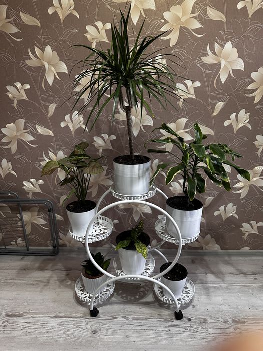 Этажерки вместе с растениями