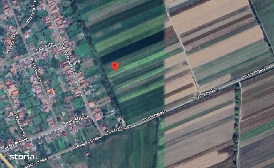 teren extravilan-Loc. Buteni, jud. Arad