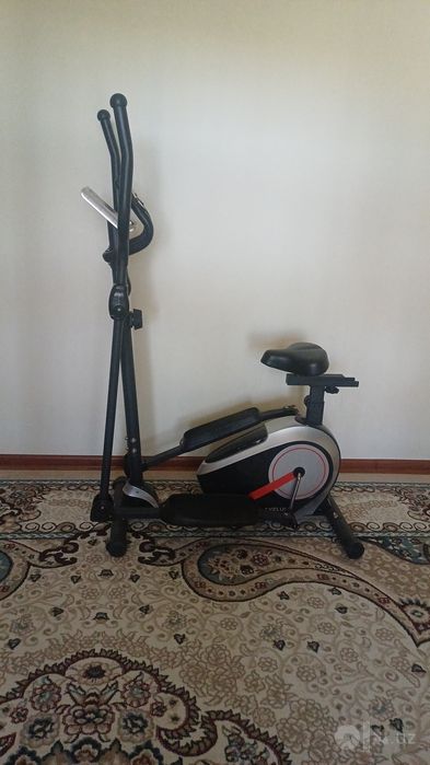 Tirnajor velik 2026yilda olingan