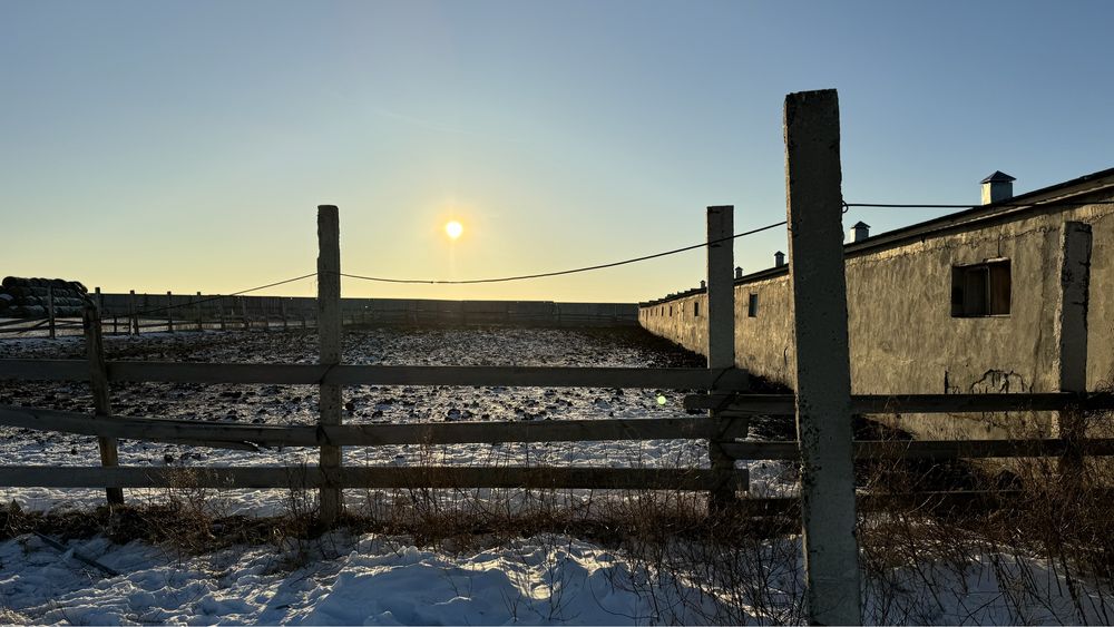 Крестьянское хозяйство
